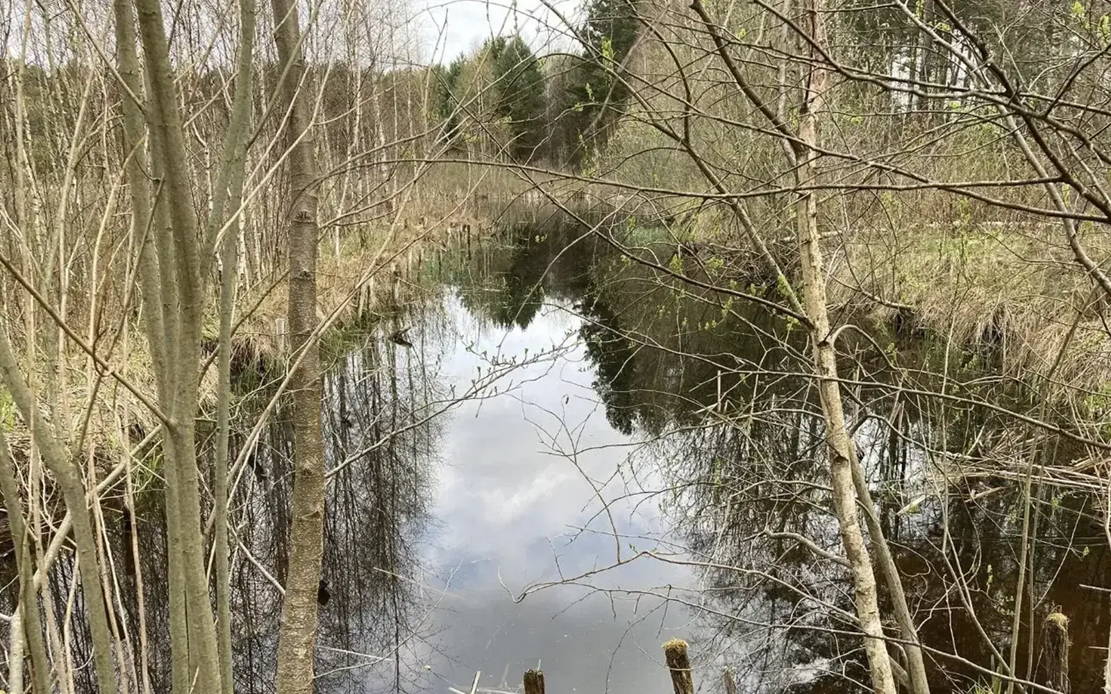 Przesmyk łączący prywatny staw z sąsiednim zbiornikiem