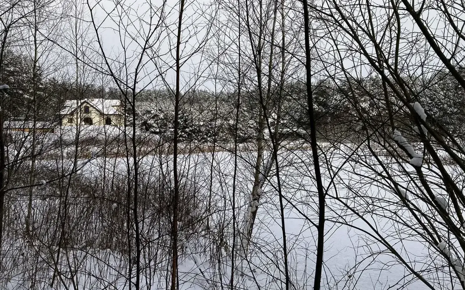 Zimowy widok z działki na zamarznięty staw